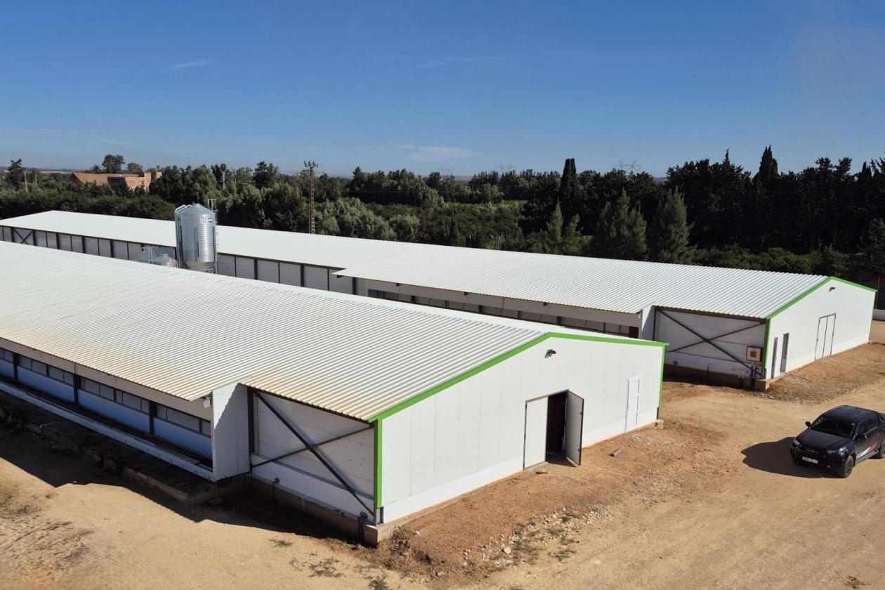 Broiler Breeder Project Successfully Completed in Algeria